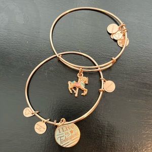 Disney Fantasyland Alex and Ani Bracelet Set - Disney Jewelry - Gold Bracelets
